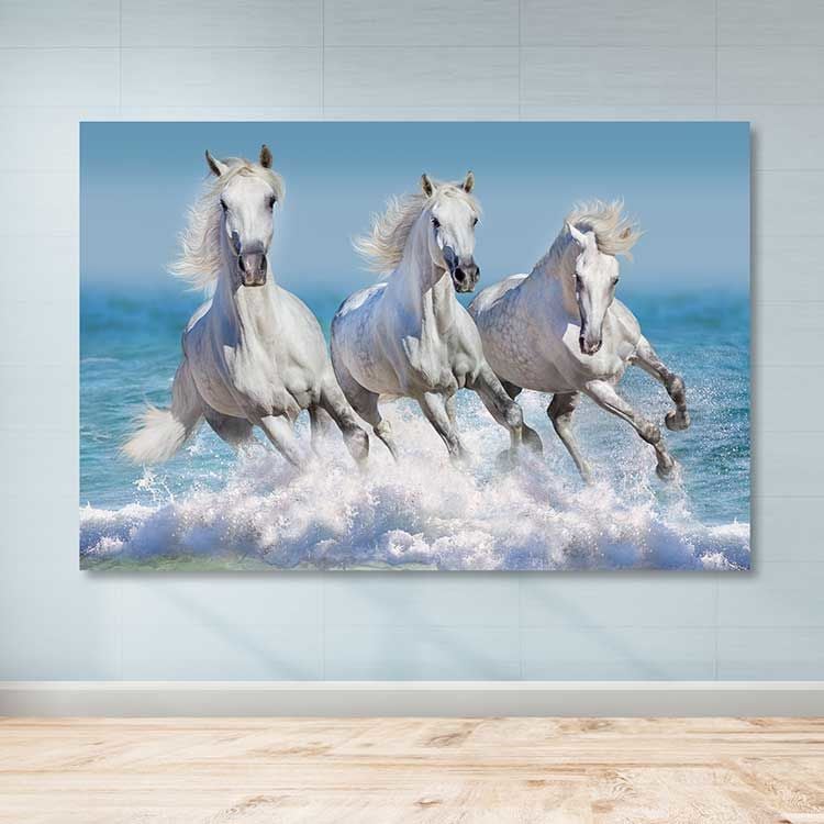 Dev Boyut Kanvas Tablo