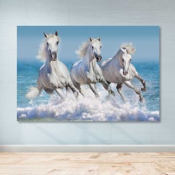 Dev Boyut Kanvas Tablo