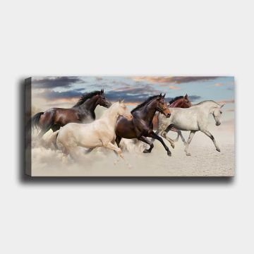 Yatay Kanvas Tablo 50cm x 120cm
