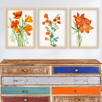 TURUNCU ÇİÇEK 3 Parça Naturel Çerçeveli Tablo 35cm x 45cm