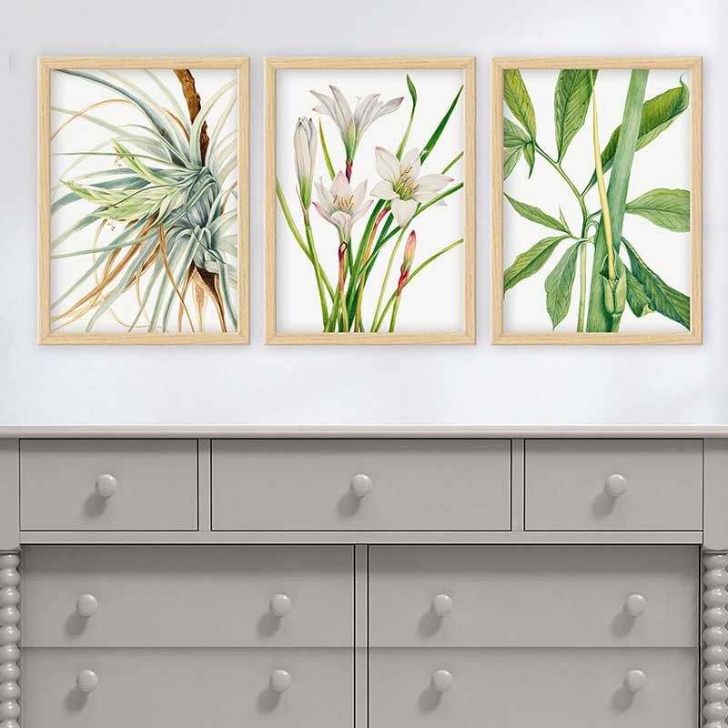 Yapraklar 3 Parça Naturel Çerçeveli Tablo 55cm x 75cm