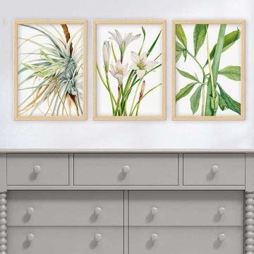 Yapraklar 3 Parça Naturel Çerçeveli Tablo 55cm x 75cm