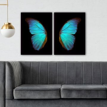 2 Parçalı Siyah Çerçeveli Tablo