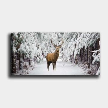 Yatay Kanvas Tablo 50cm x 120cm