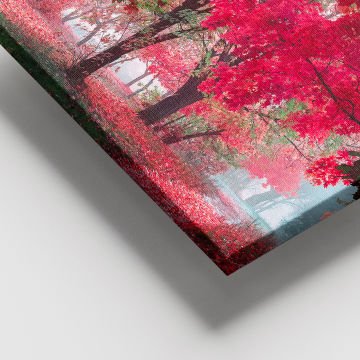 Dev Boyut Kanvas Tablo