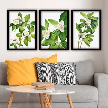 Beyaz Çiçekler 3 Parça Siyah Çerçeveli Tablo