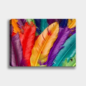 Renkli Tüyler Dekoratif Kanvas Tablo