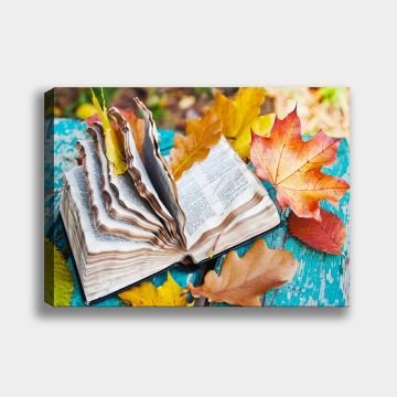 Kitap Dekoratif Kanvas Tablo 140cm x 200cm