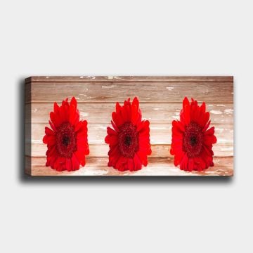 Yatay Kanvas Tablo 50cm x 120cm