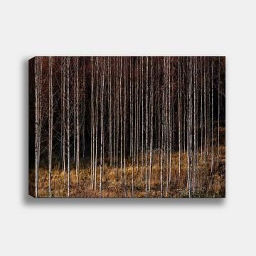 Manzara Kanvas Tablo 50cm x 70cm