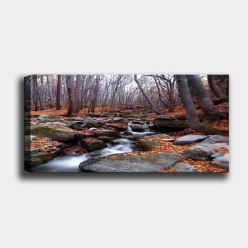 Yatay Kanvas Tablo 50cm x 120cm