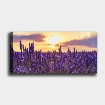 Yatay Kanvas Tablo 30cm x 90cm