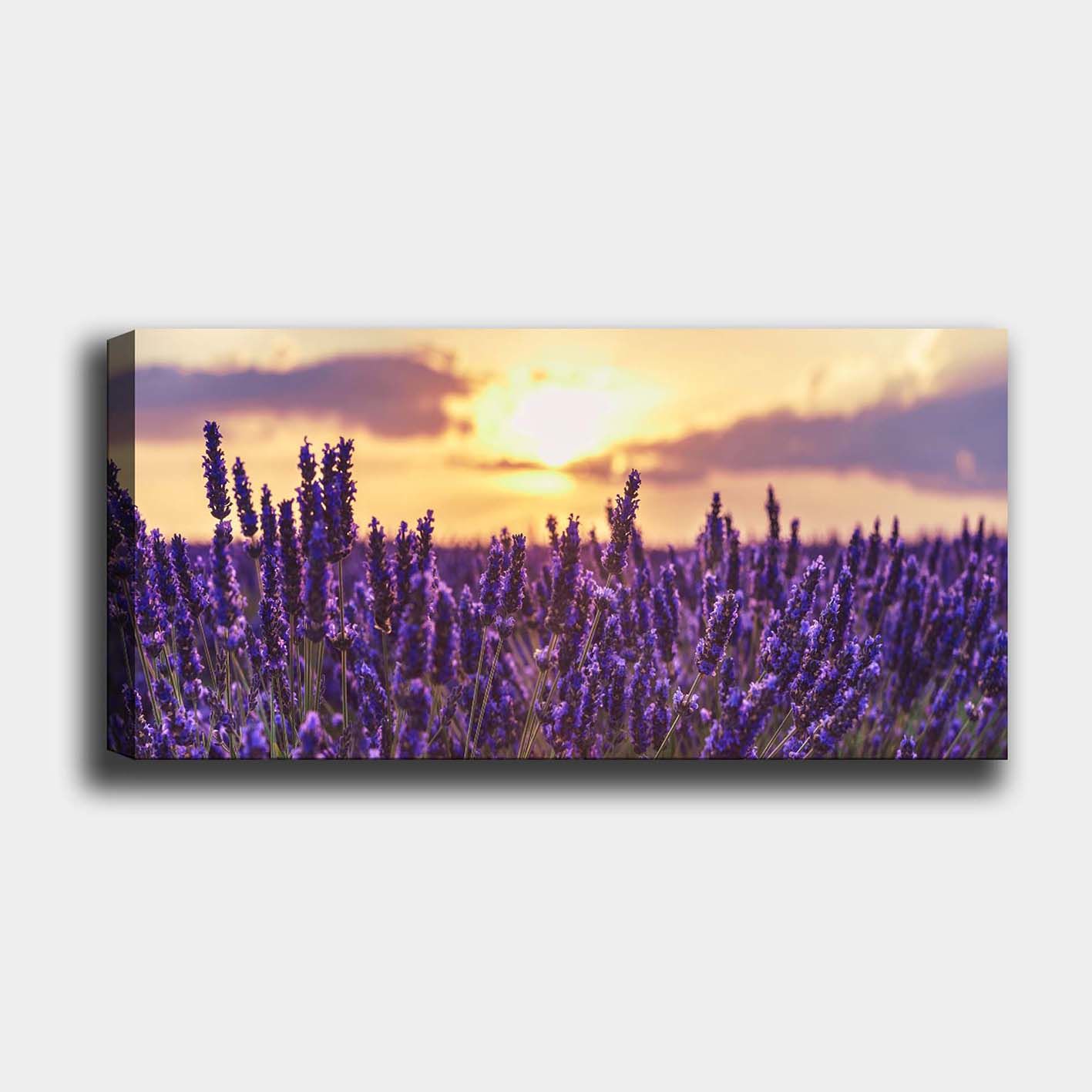 Yatay Kanvas Tablo 50cm x 120cm
