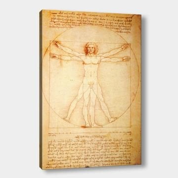 Vitruvius Adamı Kanvas Tablo