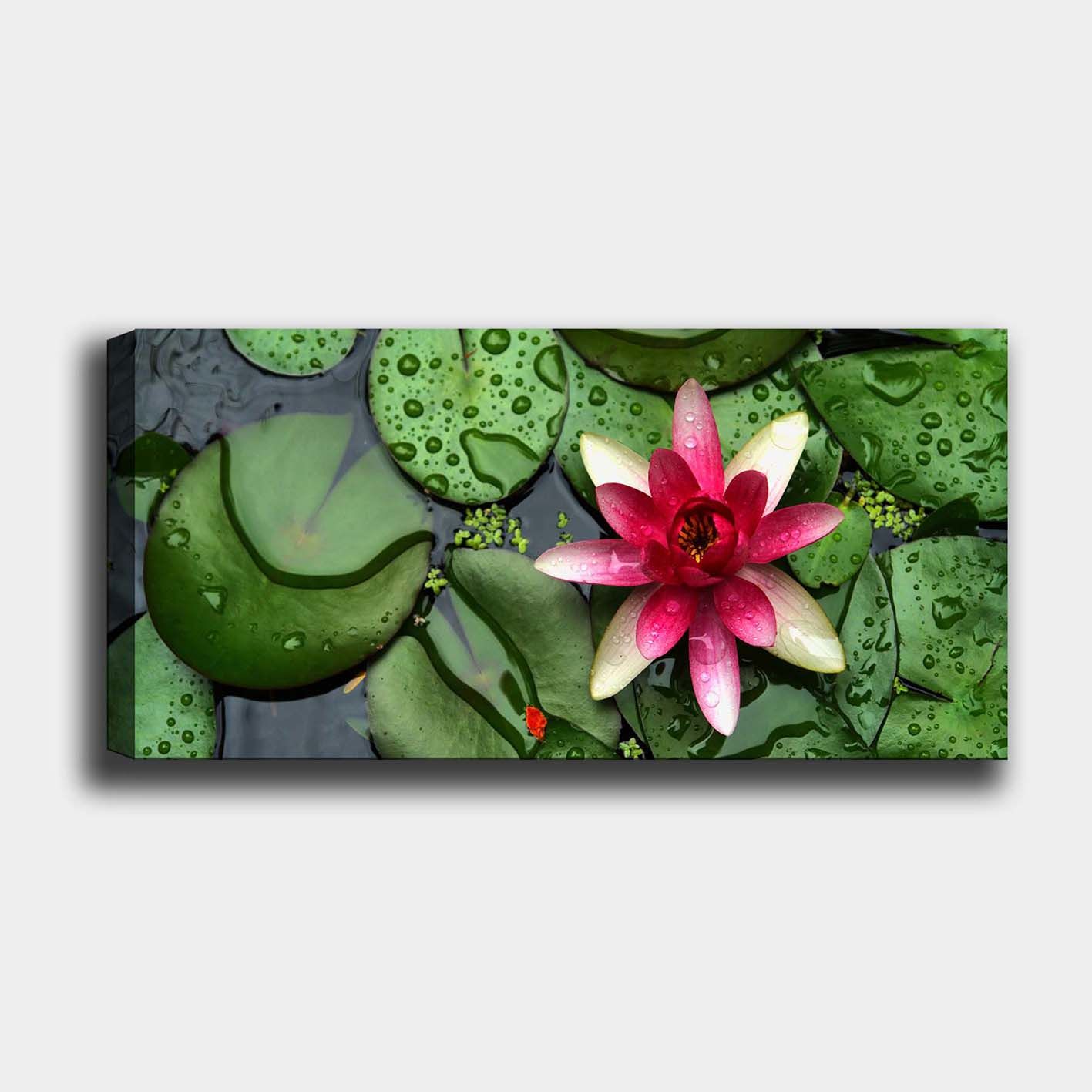 Yatay Kanvas Tablo 40cm x 100cm