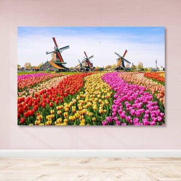 Dev Boyut Kanvas Tablo