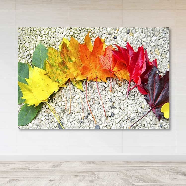 Dev Boyut Kanvas Tablo