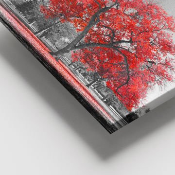 Dev Boyut Kanvas Tablo