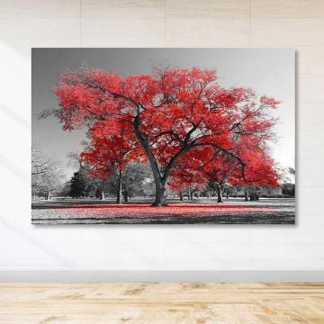 Dev Boyut Kanvas Tablo