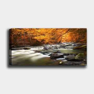 Yatay Kanvas Tablo 50cm x 120cm