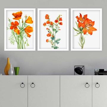 TURUNCU ÇİÇEK 3 Parça Beyaz Çerçeveli Tablo 55cm x 75cm