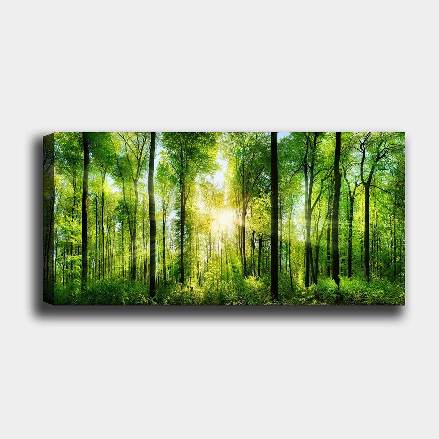 Yatay Kanvas Tablo 50cm x 120cm