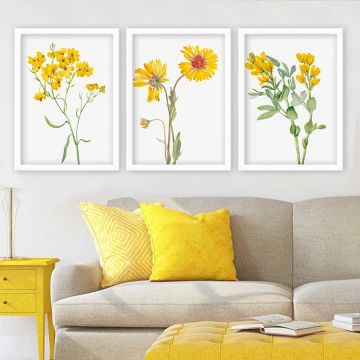 Sarı Çiçekler 3 Parça Beyaz Çerçeveli Tablo 55cm x 75cm