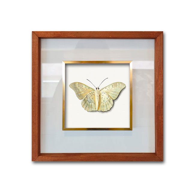 Çerçeveli Cam Paspartulu Tablo 52cm x 52cm