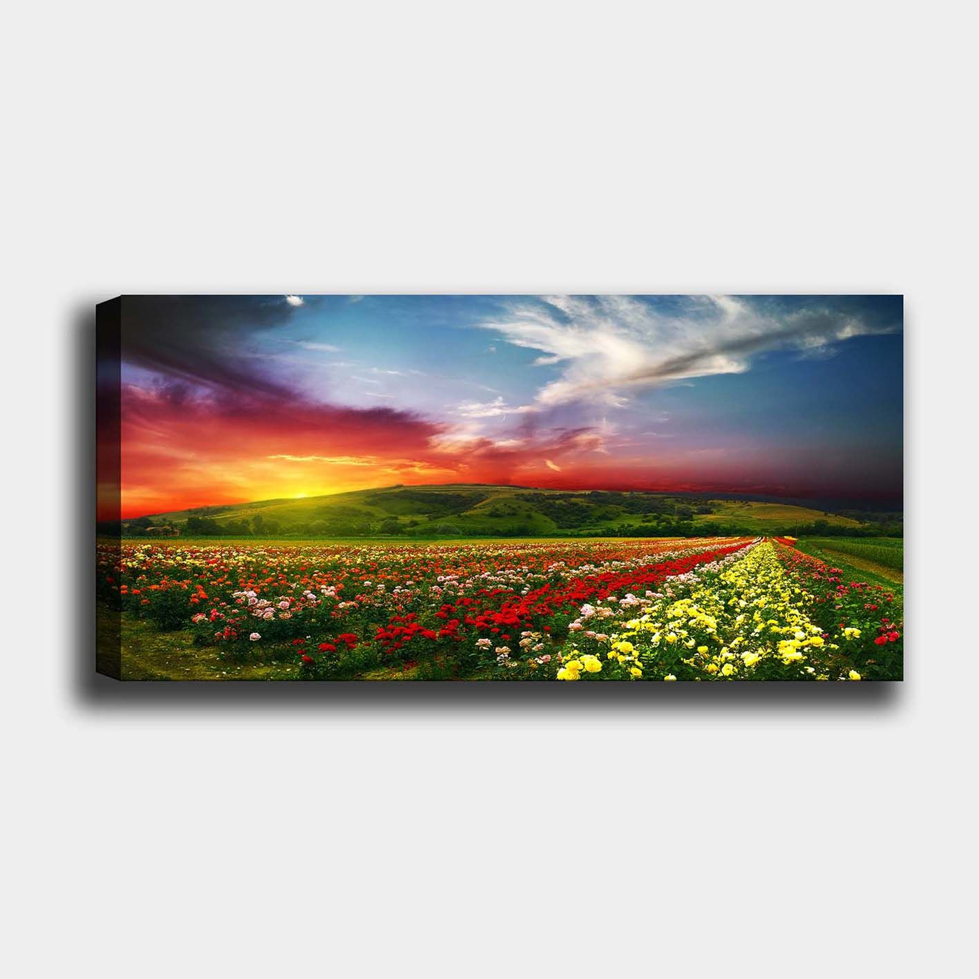 Yatay Kanvas Tablo 50cm x 120cm