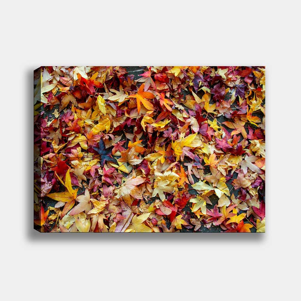 Yapraklar Dekoratif Kanvas Tablo 140cm x 200cm