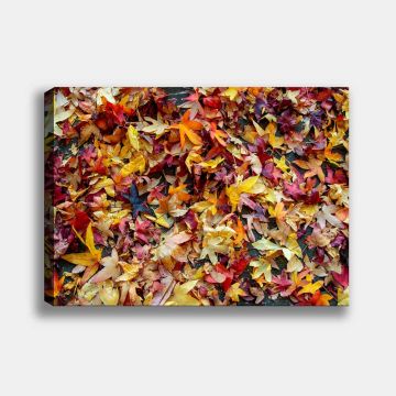 Yapraklar Dekoratif Kanvas Tablo 140cm x 200cm