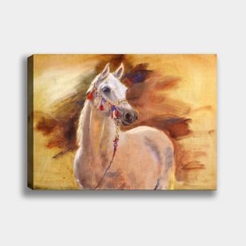 Kanvas Tablolar 70cm x 100cm